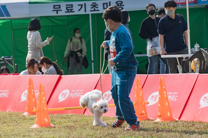"광진구에서는 멍멍이들도 운동회한다~" - 멍토피아 운동회 개최!