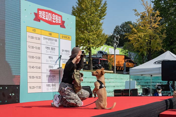 "광진구에서는 멍멍이들도 운동회한다~" - 멍토피아 운동회 개최!