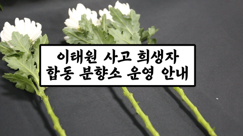 이태원 사고 희생자 합동 분향소 운영 안내