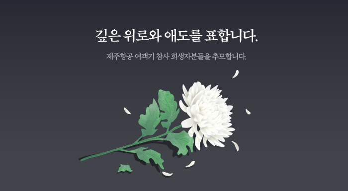 깊은 위로와 애도를 표합니다.    제주항공 여객기 참사 희생자분들을 추모합니다.