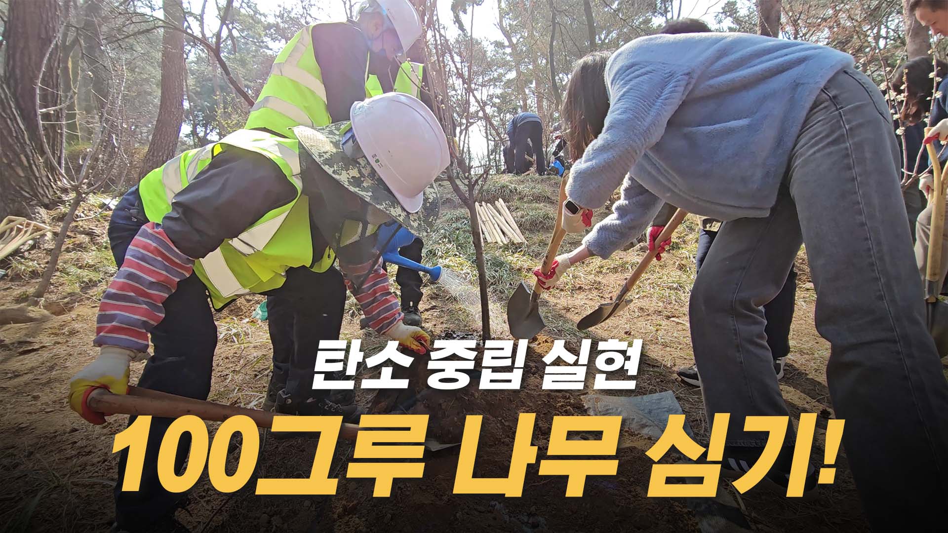 탄소 중립 직원 나무 심기 행사