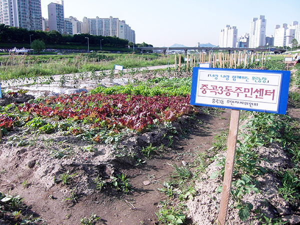 중랑천 텃밭