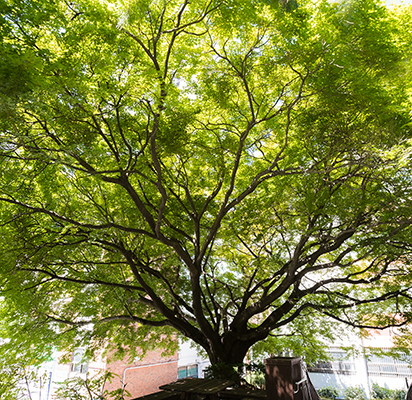 포토갤러리 메인비주얼