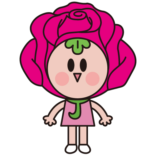장미 진이