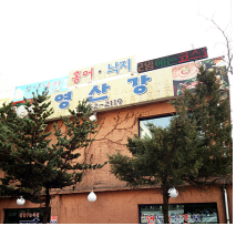 영산강