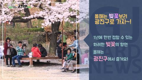 [광진카드뉴스 - 4월 첫째 주] 광진구 벚꽃명소 소개