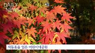 11월13일) 어린이대공원에 찾아온 가을