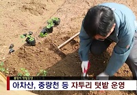 자투리 텃밭 운영 시작(4월2주)