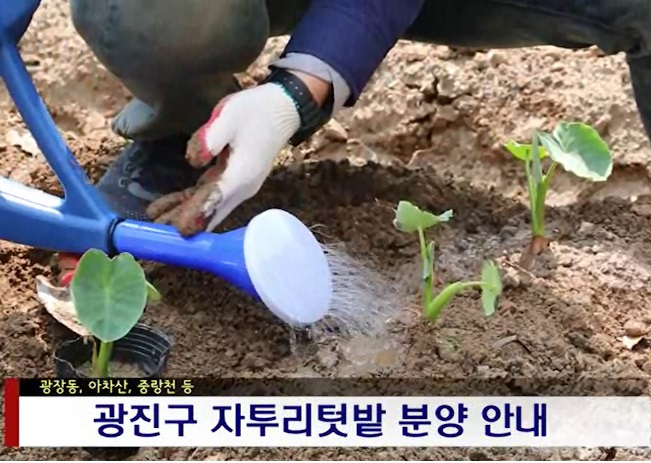 자투리텃밭 분양자 모집안내