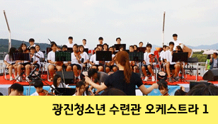 [광진교] 광진 청소년 수련관 오케스트라 공연1