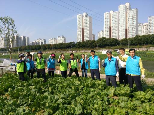 중곡3동 특화사업 중랑천 텃밭(잡초제거)