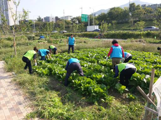 중곡3동 특화사업 중랑천 텃밭(잡초제거)