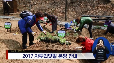 [3월2주] 자투리텃밭 분양안내