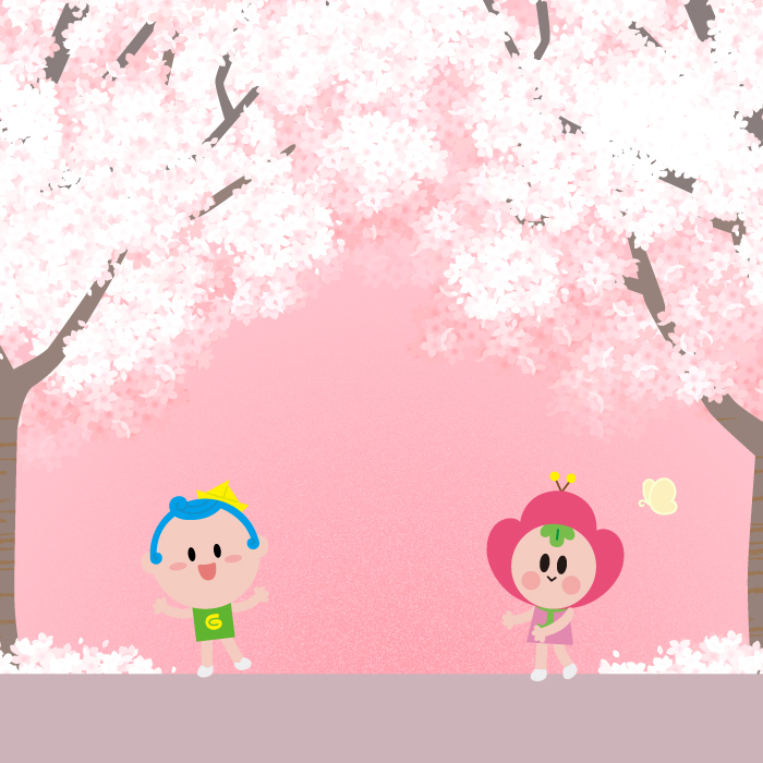 벚꽃 