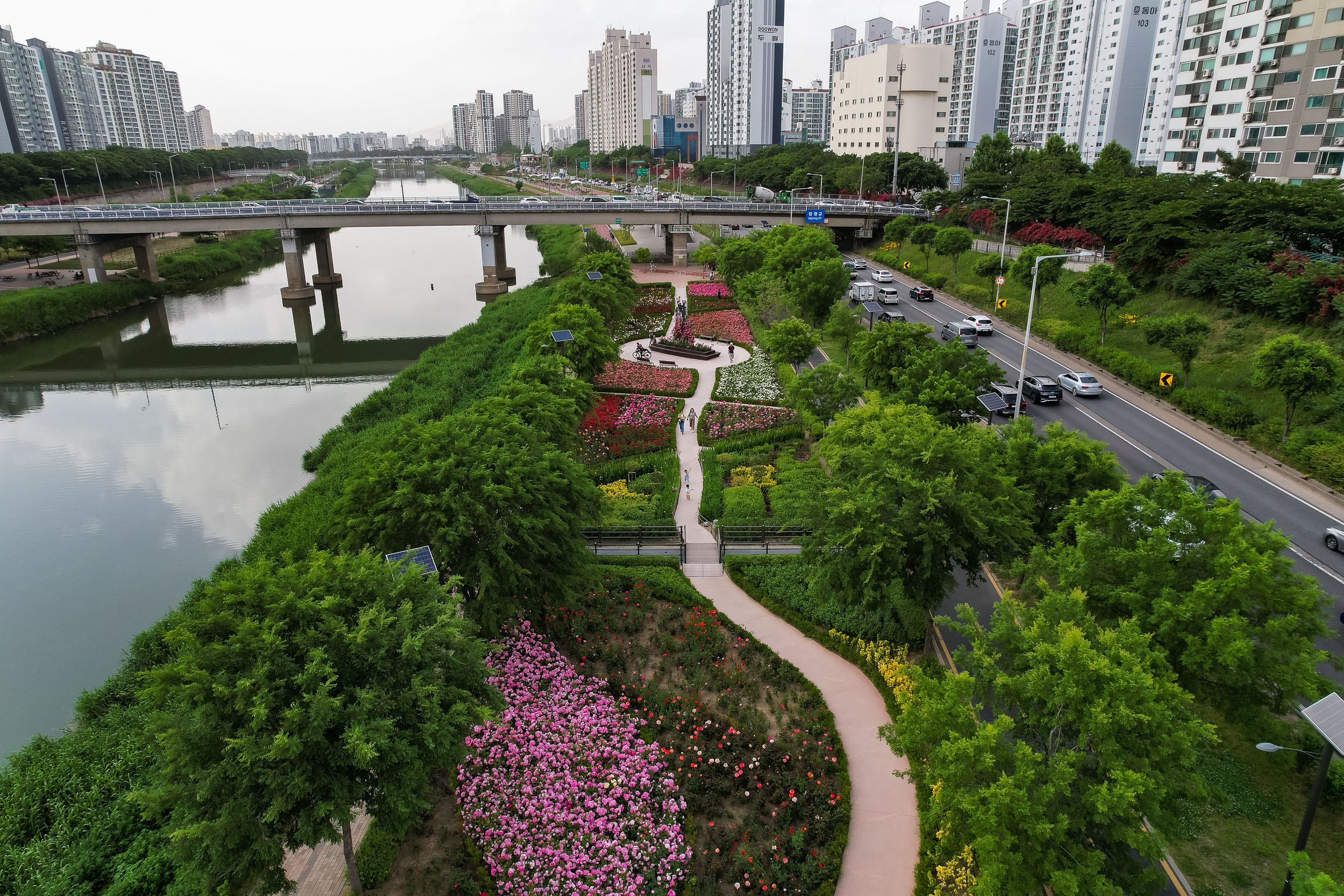 20230522-광진장미정원 230522-d-011_192903.jpg