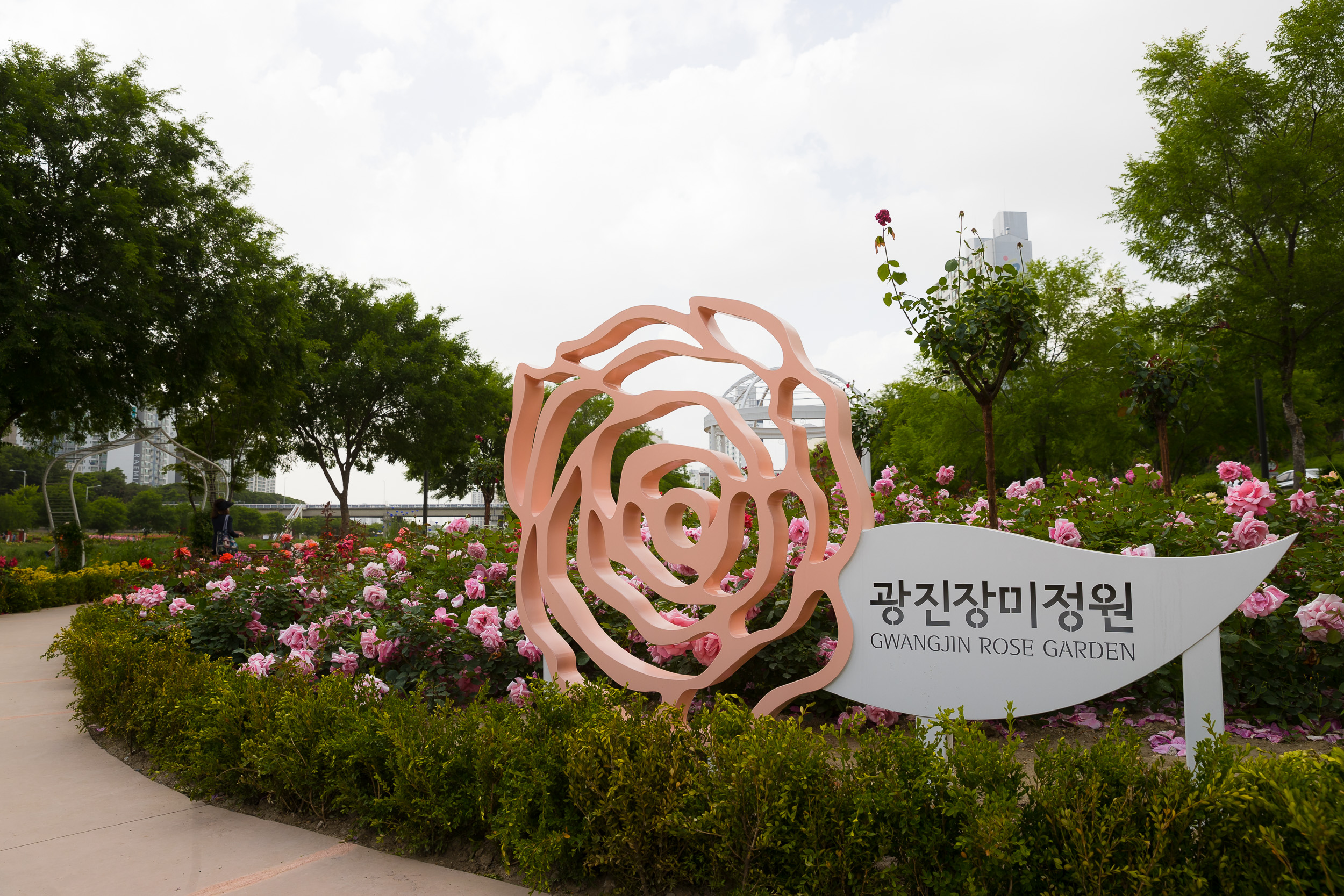 20230522-광진장미정원 230522-0103_G_192908.jpg
