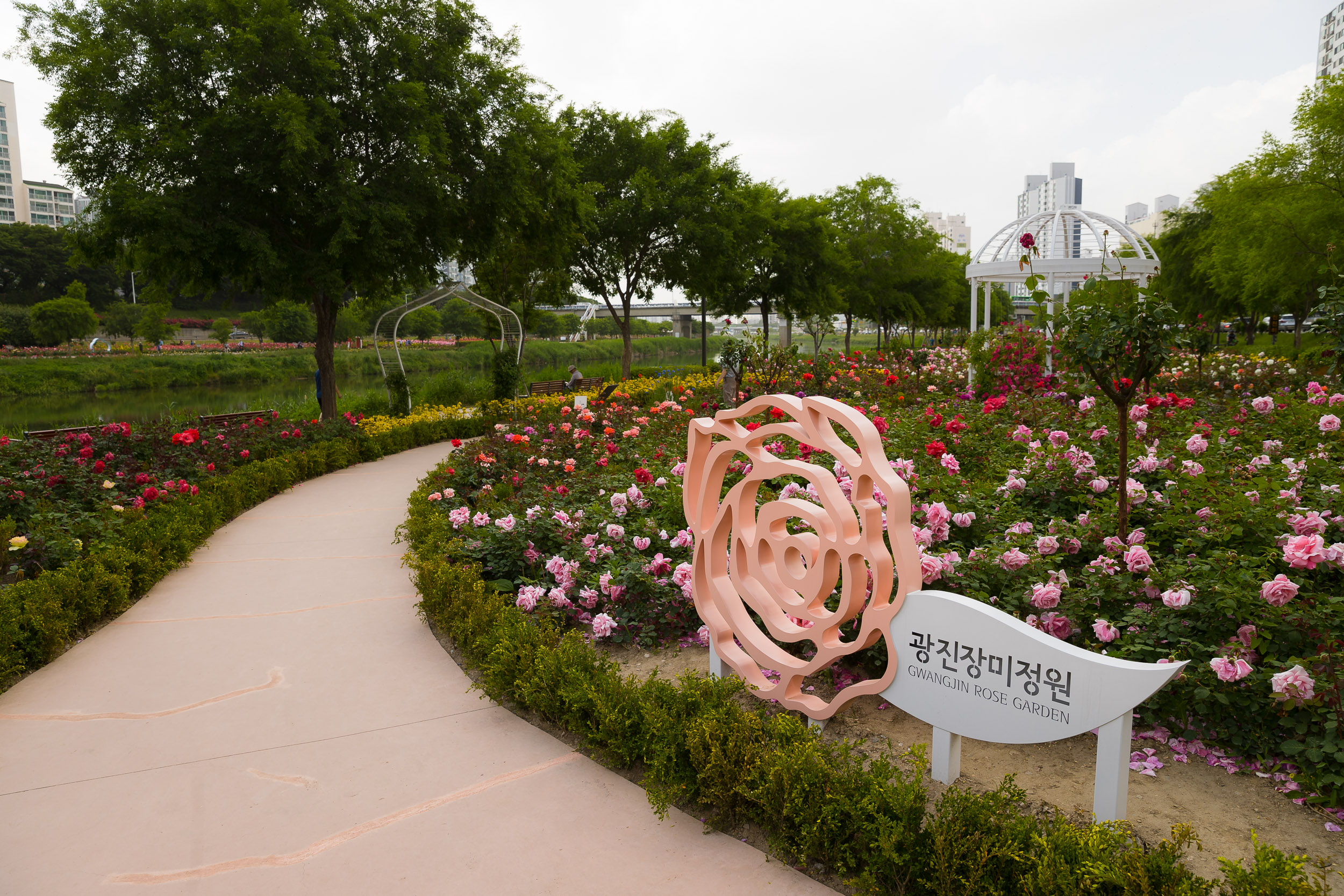 20230522-광진장미정원 230522-0119_G_192909.jpg