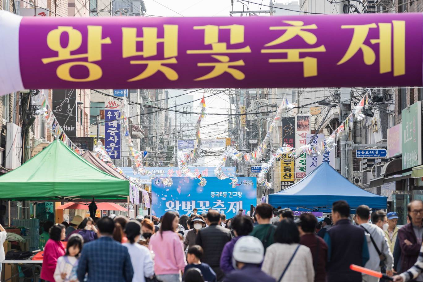 20230401-중곡2동 긴고랑 왕벚꽃 축제