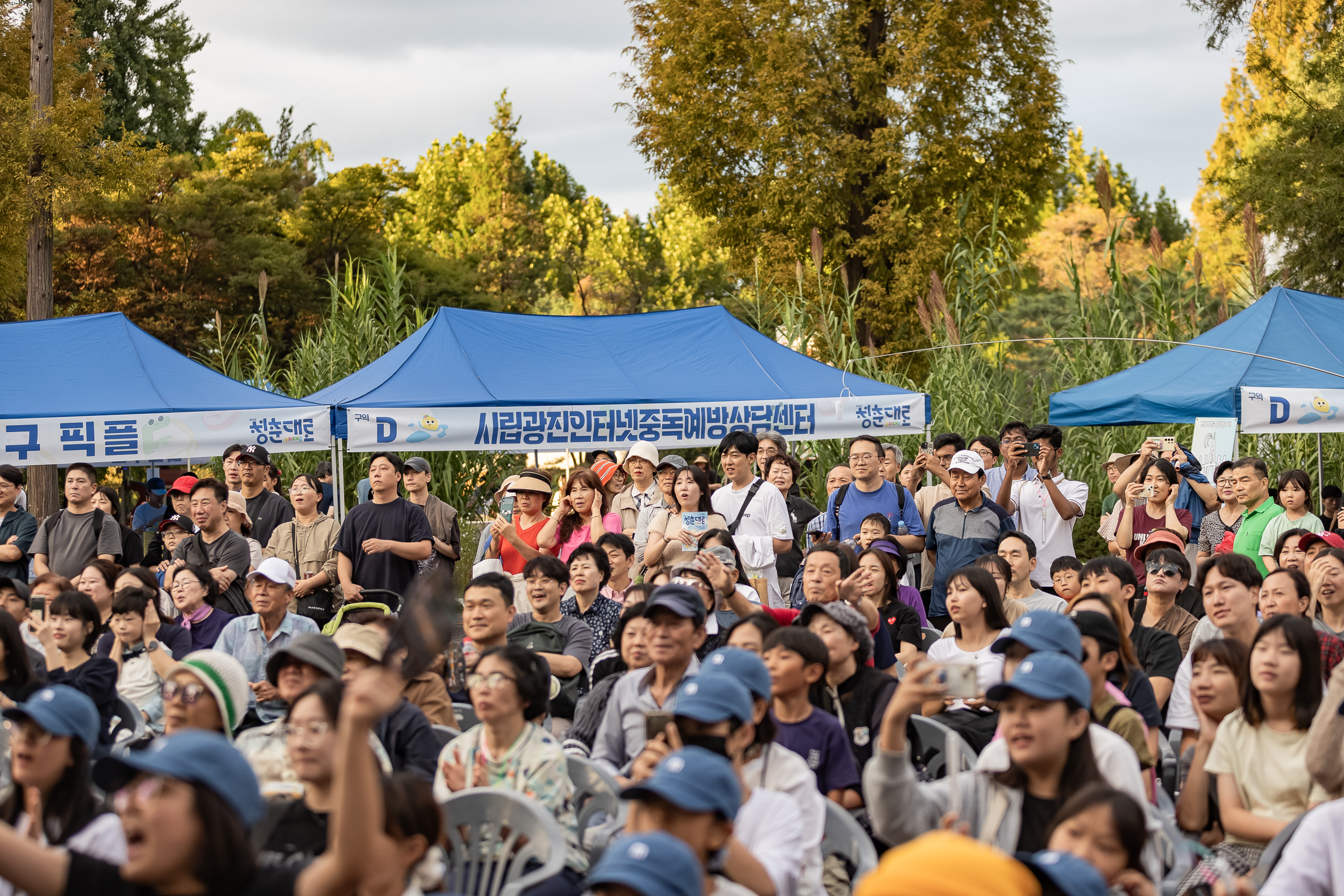 20240928-2024 청춘대로 우리대로 240928-0422_Gm_091019.jpg