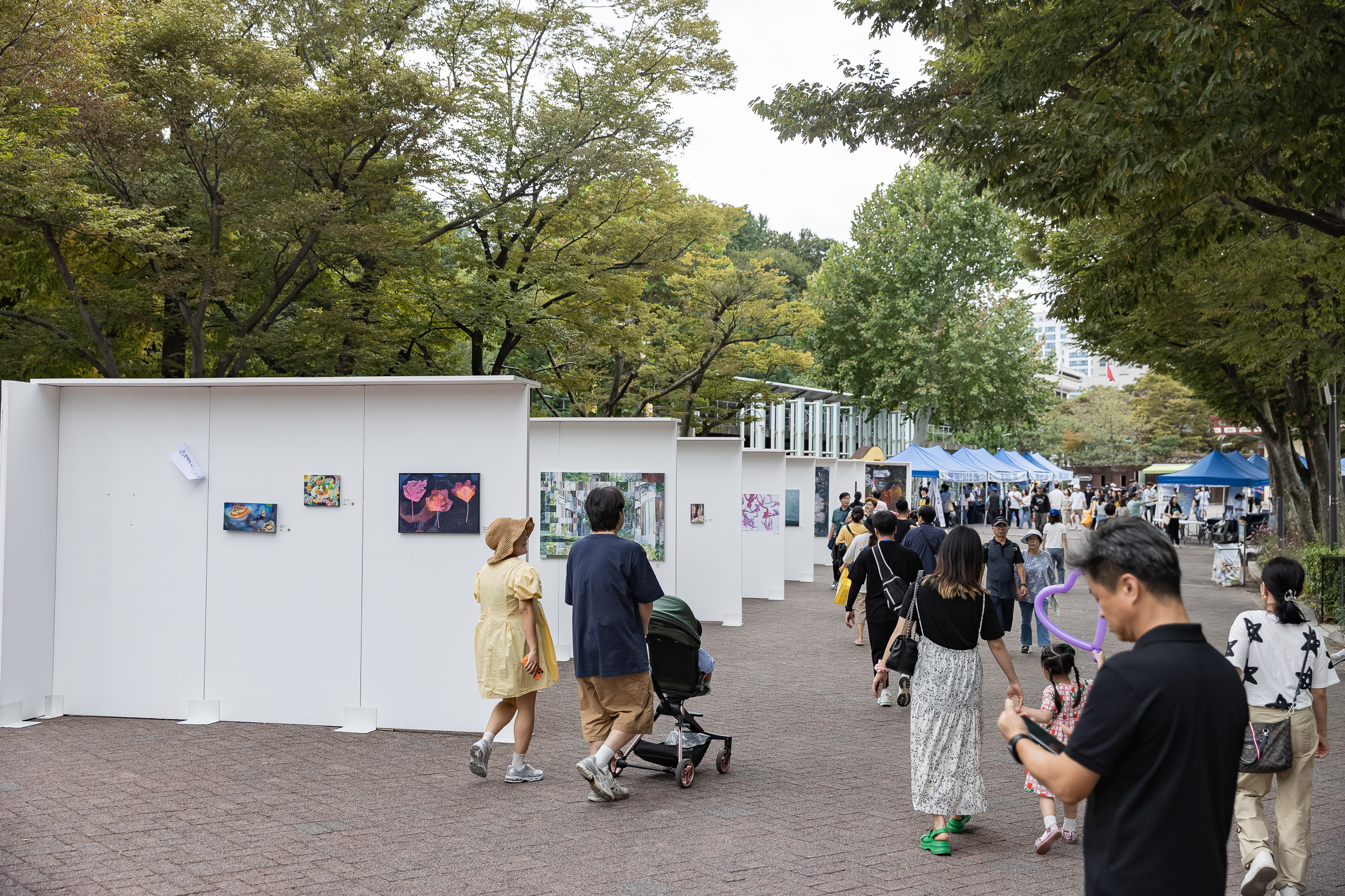 20240928-2024 청춘대로 우리대로 240928-0116_Gm_091003.jpg