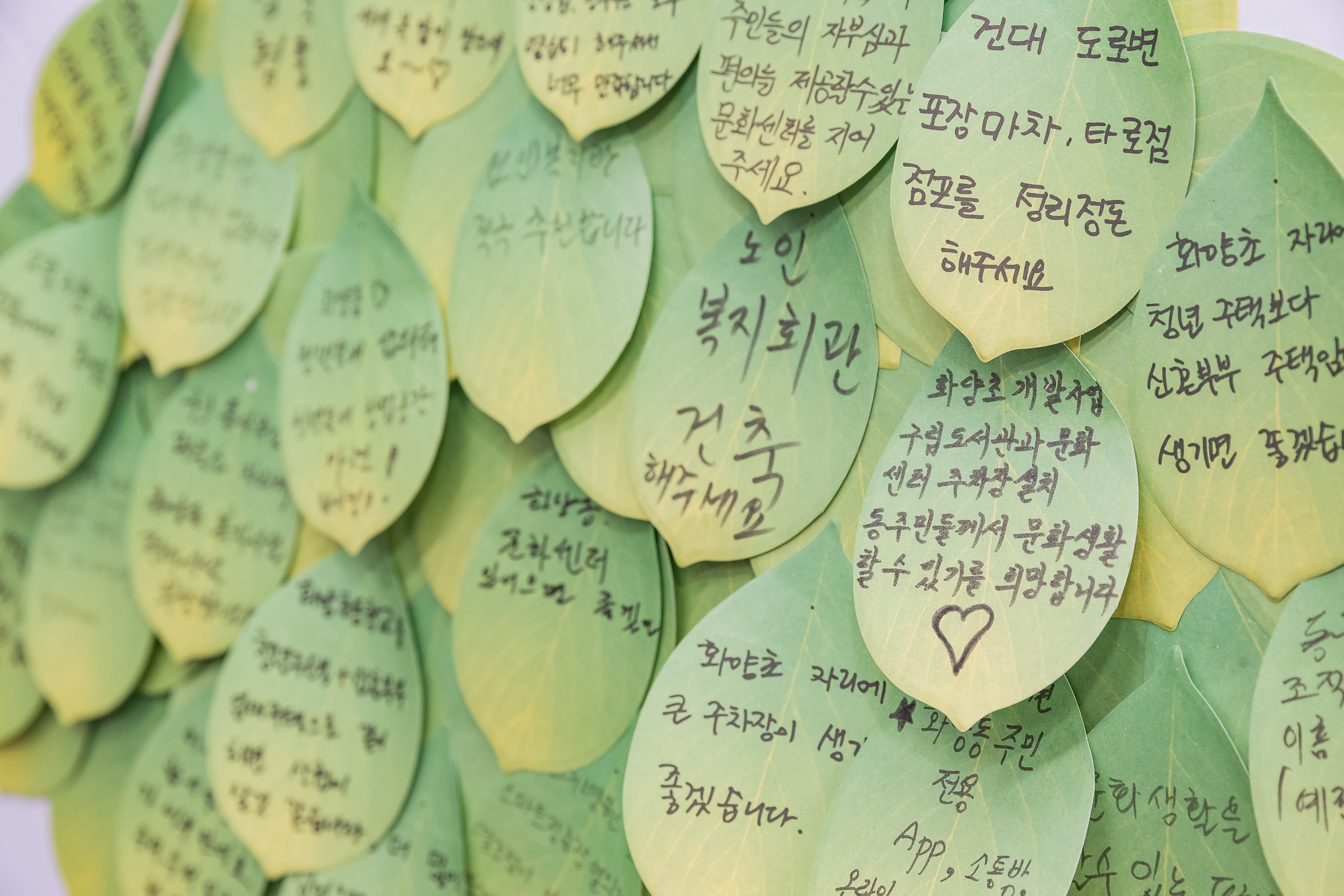 20250207-2025년 업무보고회(화양동 주민센터) 20250207-9599-2025년 화양동 업무보고회_G_112353.jpg