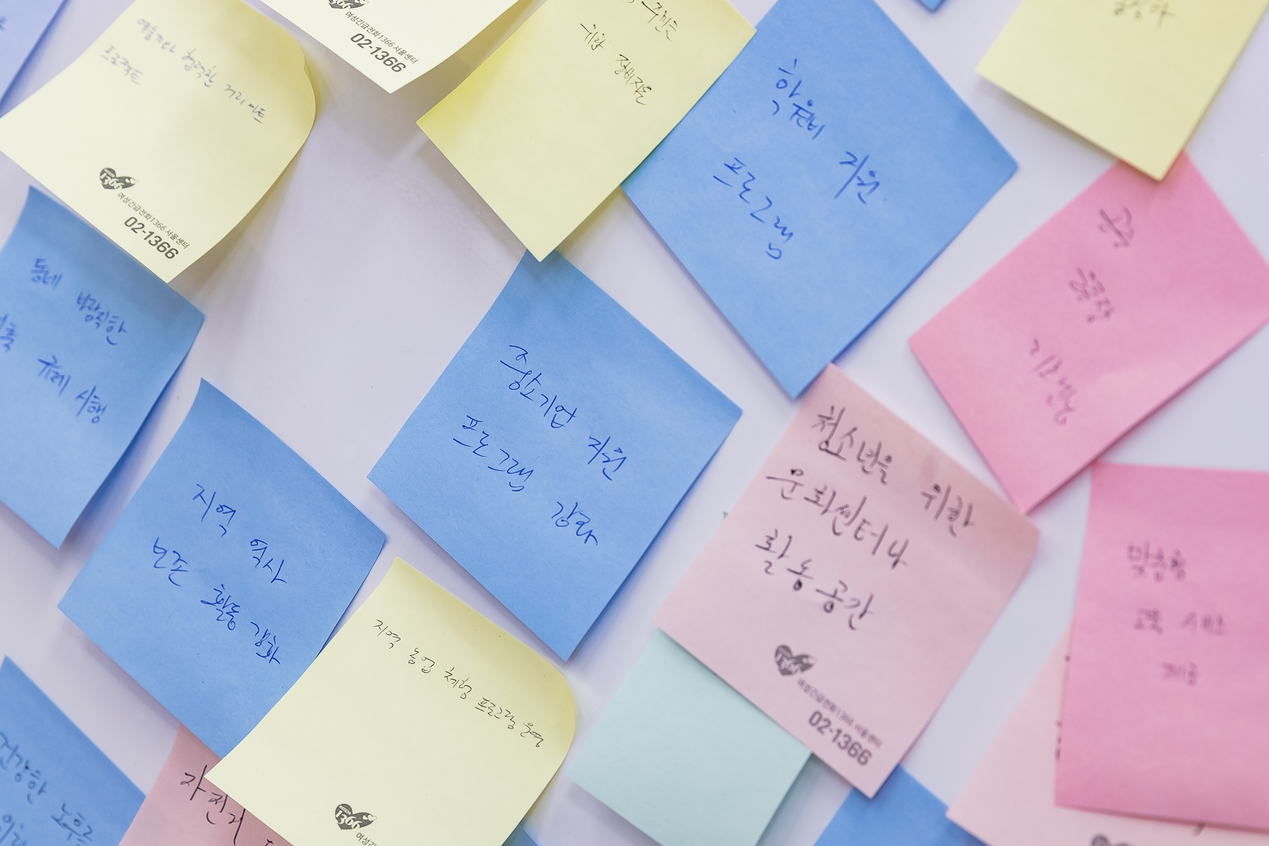 20250115-2025년 업무보고회(중곡1동 주민센터) 2025115_8283_G_181101.jpg