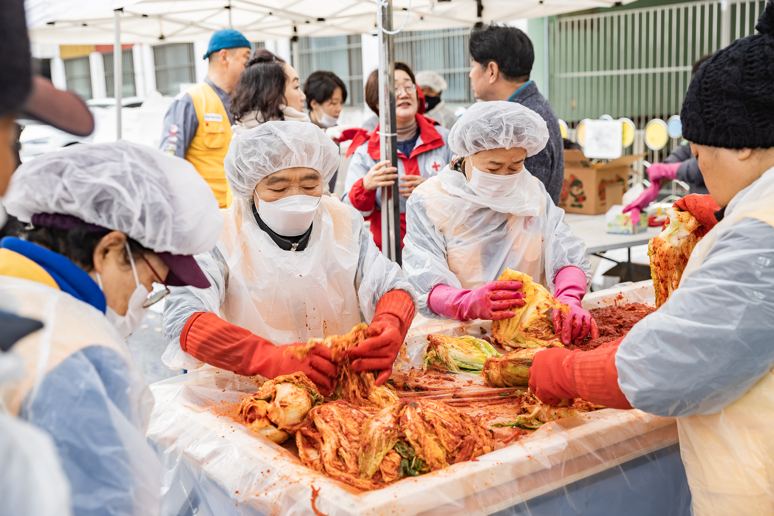 20251125-적십자봉사회 광진구협의회 가온 김장김치 나눔행사 20251125-13708_L_191827.jpg