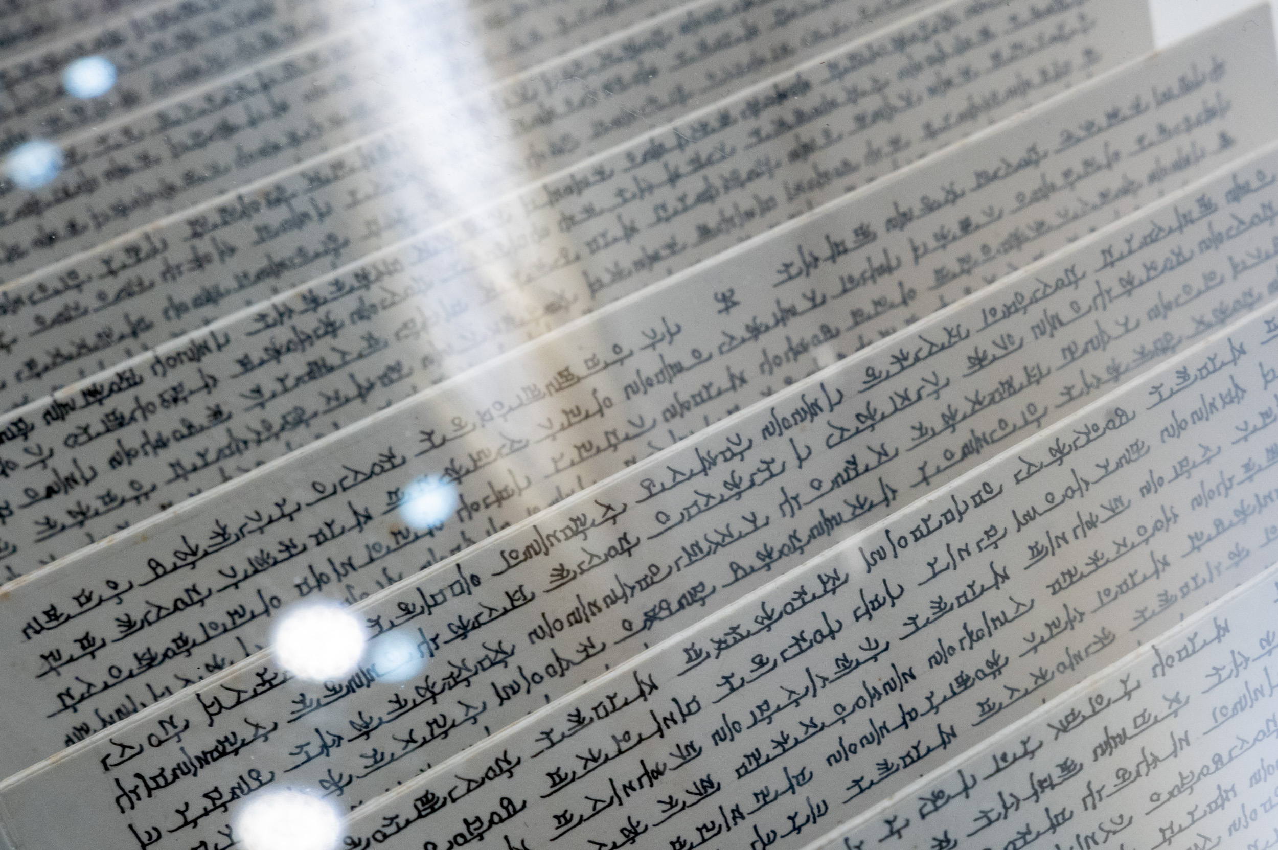 20260210-광진미술협회 서예문인화 초대전 20260210-17173_L_153819.jpg