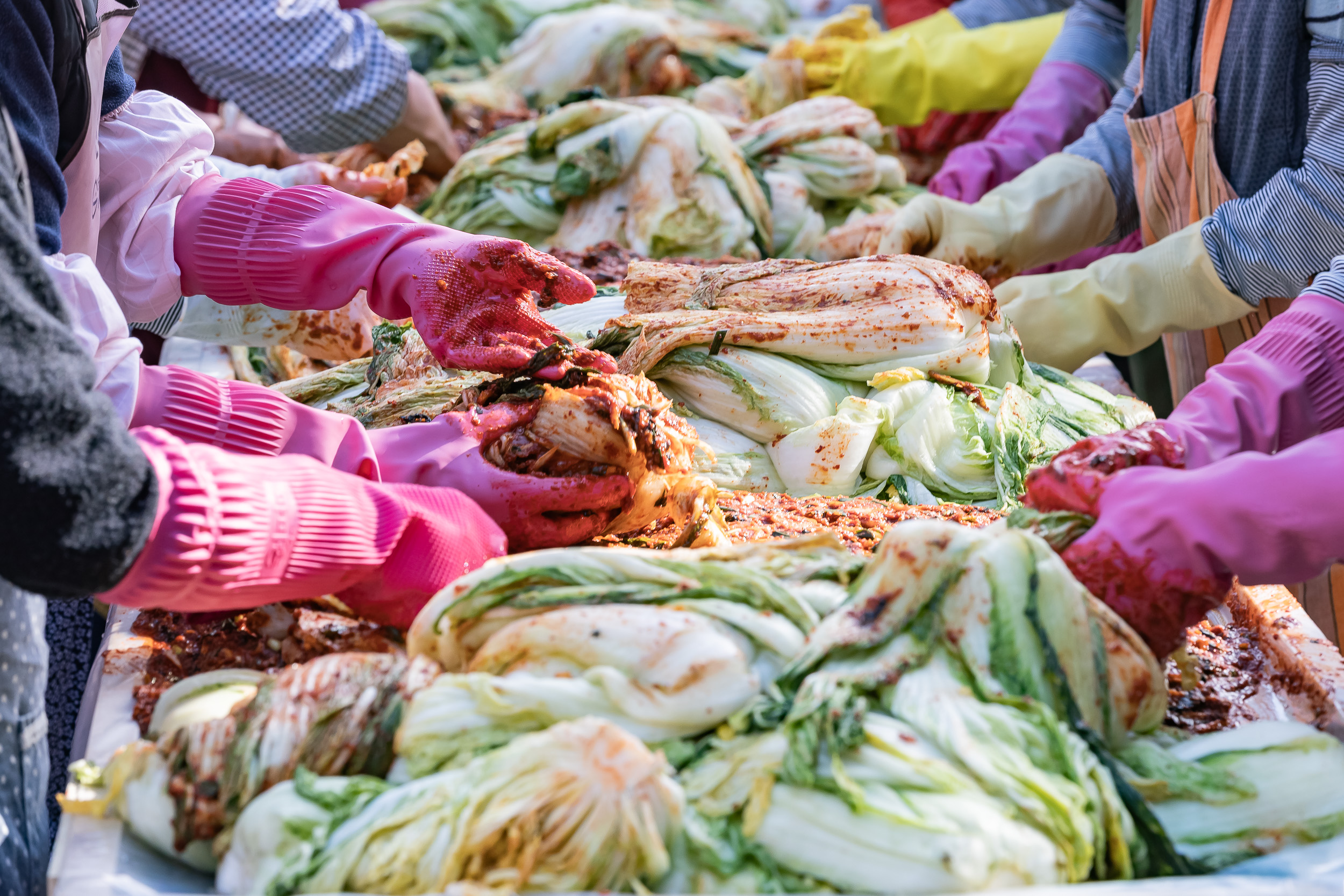 20251115-천주교 사랑의 김장 나눔행사 20251115-8061_L_155945.jpg