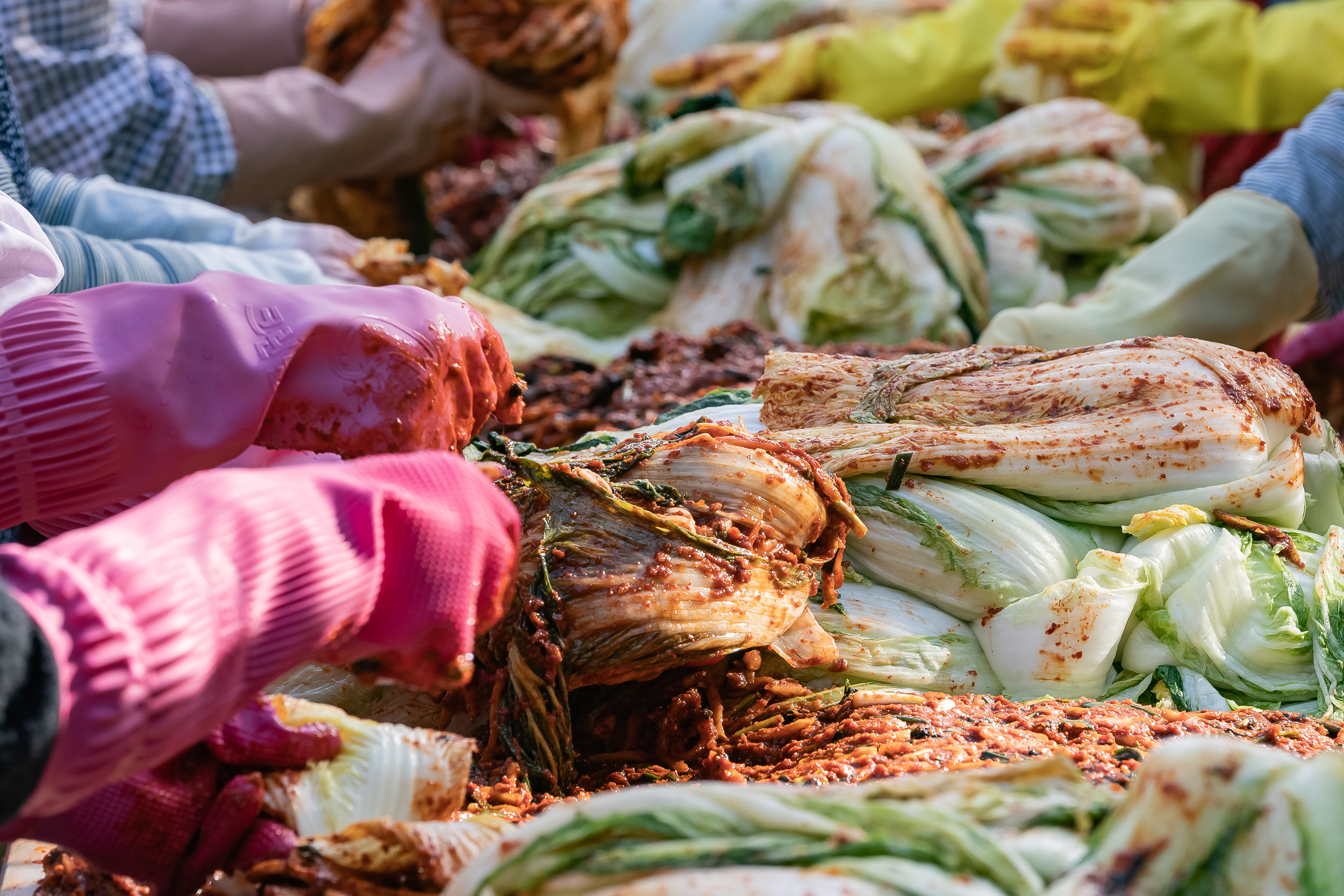 20251115-천주교 사랑의 김장 나눔행사 20251115-8069_L_155945.jpg