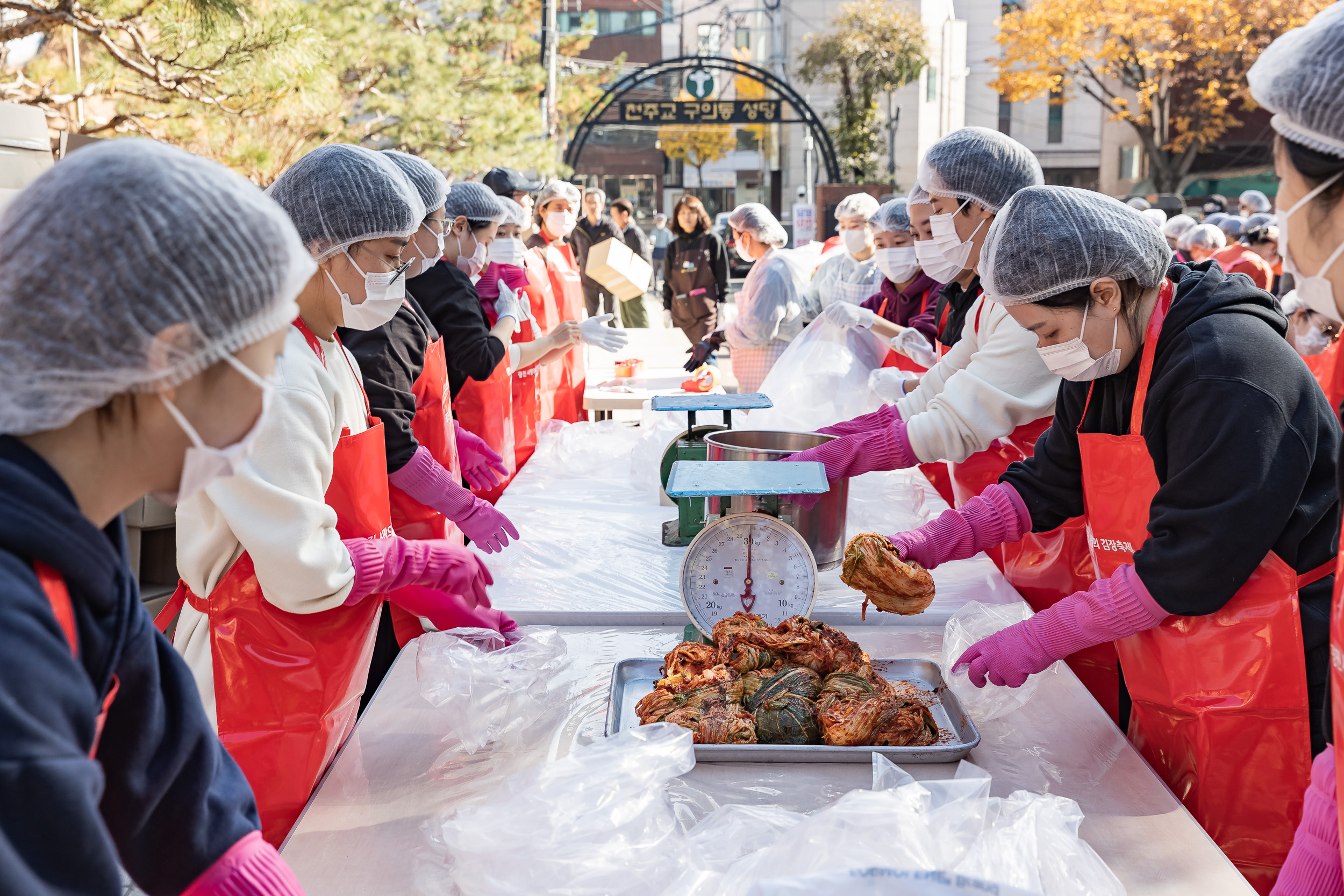 20251115-천주교 사랑의 김장 나눔행사 20251115-8115_L_155945.jpg