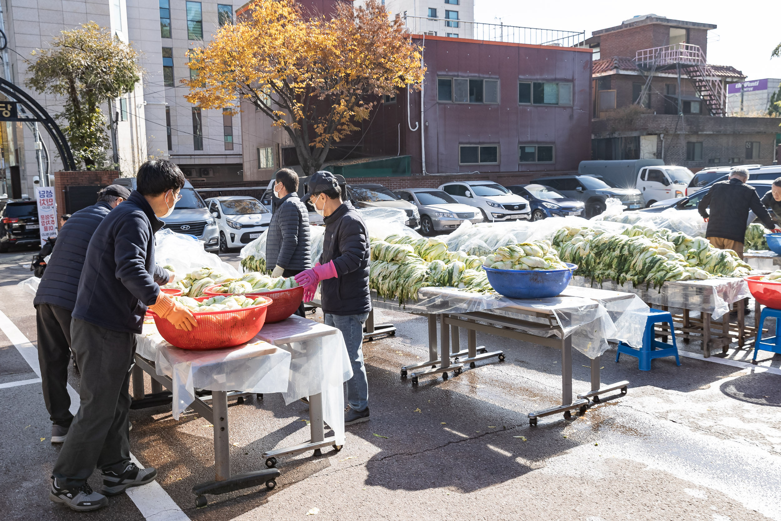 20251115-천주교 사랑의 김장 나눔행사 20251115-8169_L_155946.jpg