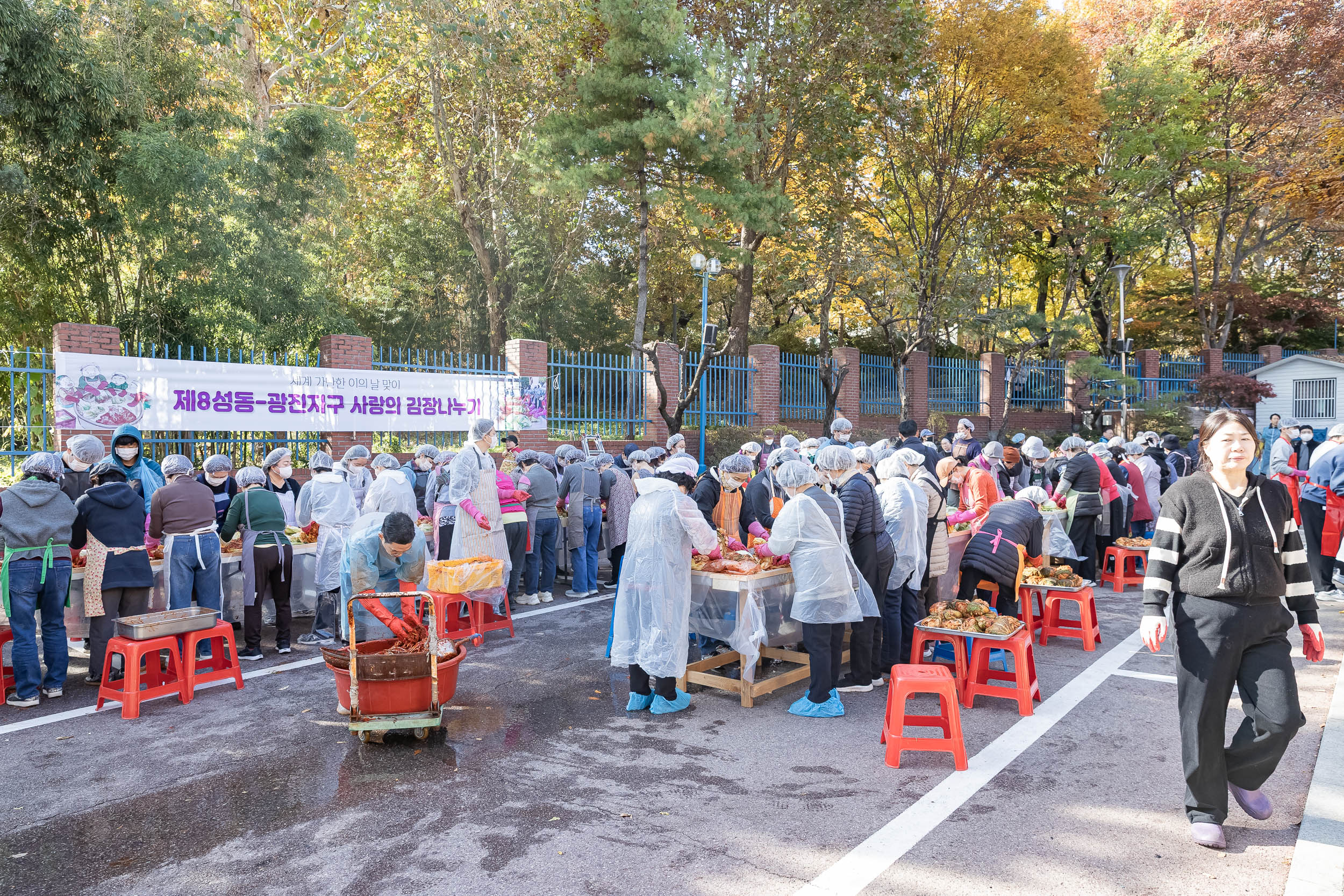 20251115-천주교 사랑의 김장 나눔행사 20251115-8182_L_155946.jpg