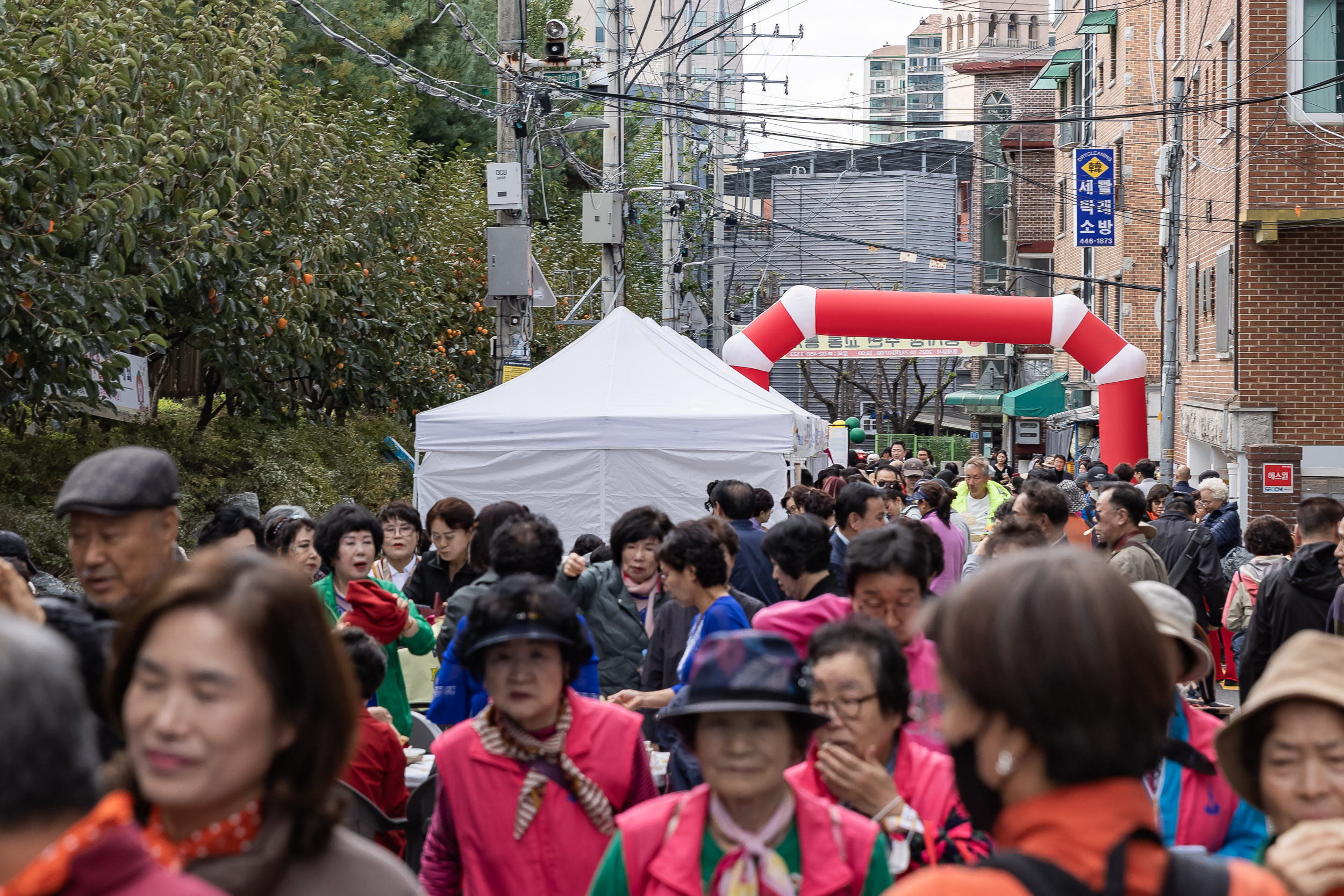 20251023-능동 감마을 축제 20251023-66143_L_173341.jpg