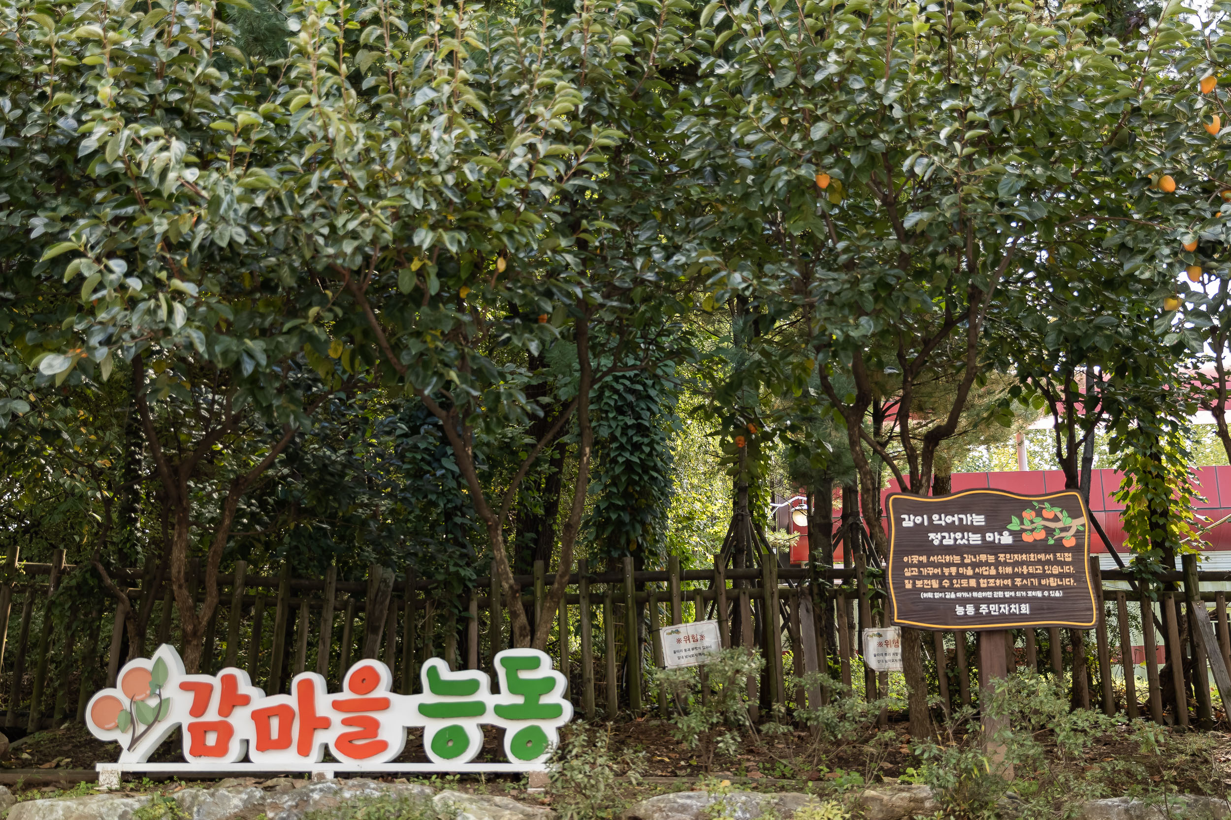 20251023-능동 감마을 축제 20251023-65967_L_173339.jpg