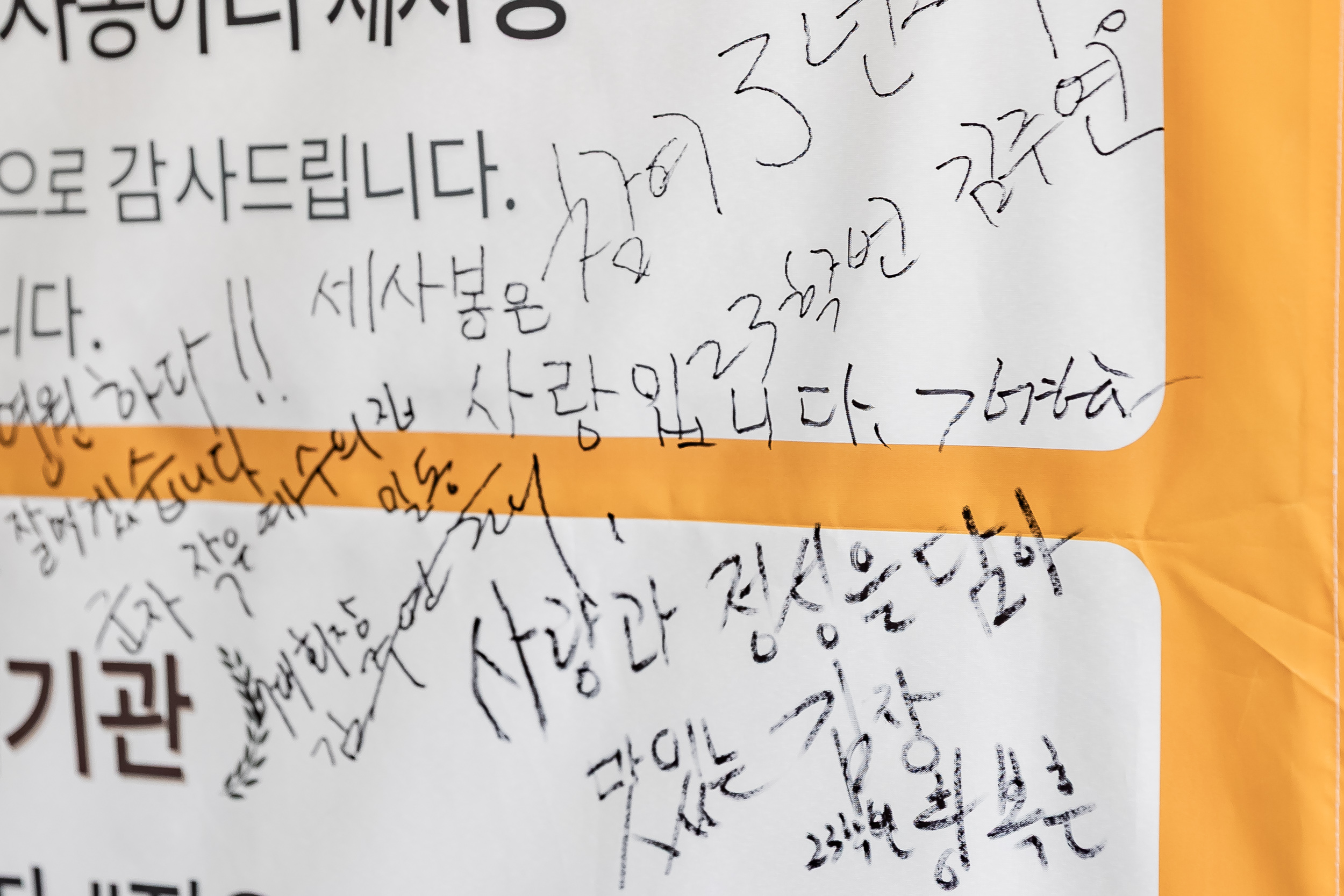 20251115-세종사이버대학교 봉사 동아리 김장나눔 봉사 20251115-7465_L_155839.jpg