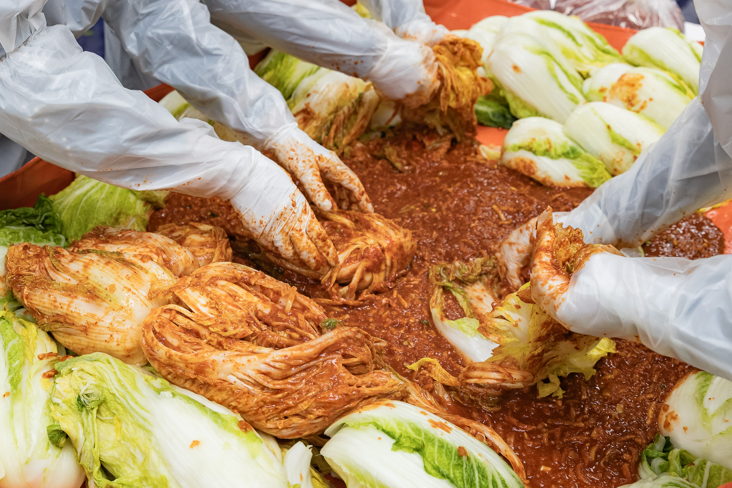 20251129-2025 사랑의 김장 나눔 행사 20251129-18630_L_130446.jpg