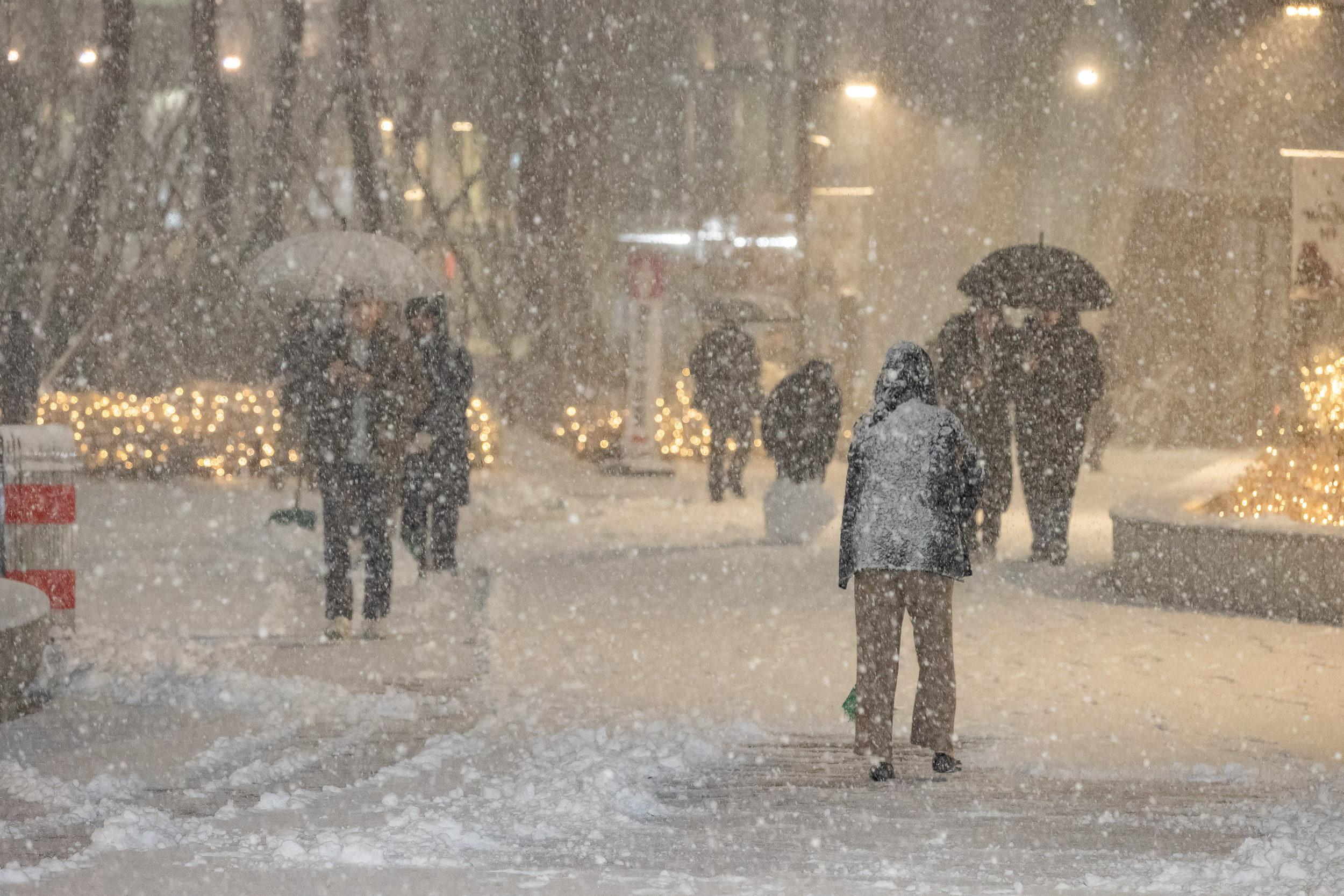 20251204-기습폭설 제설 작업중인 광진구청 직원들 20251204-22230_L_153451.jpg