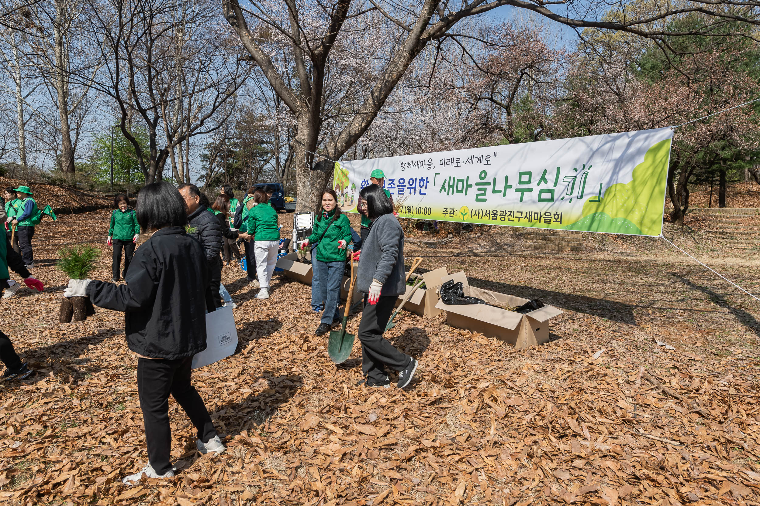 20250407-환경보존을 위한 새마을 나무심기 20250407-45083_L_174018.jpg