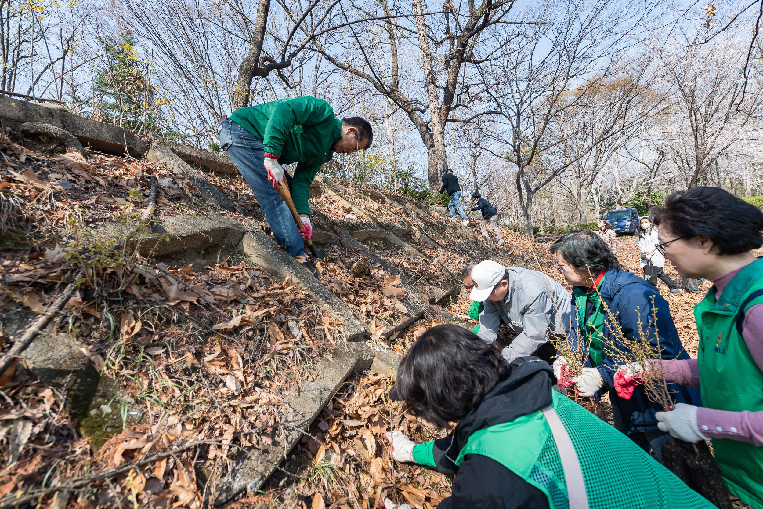 20250407-환경보존을 위한 새마을 나무심기 20250407-45143_L_174019.jpg