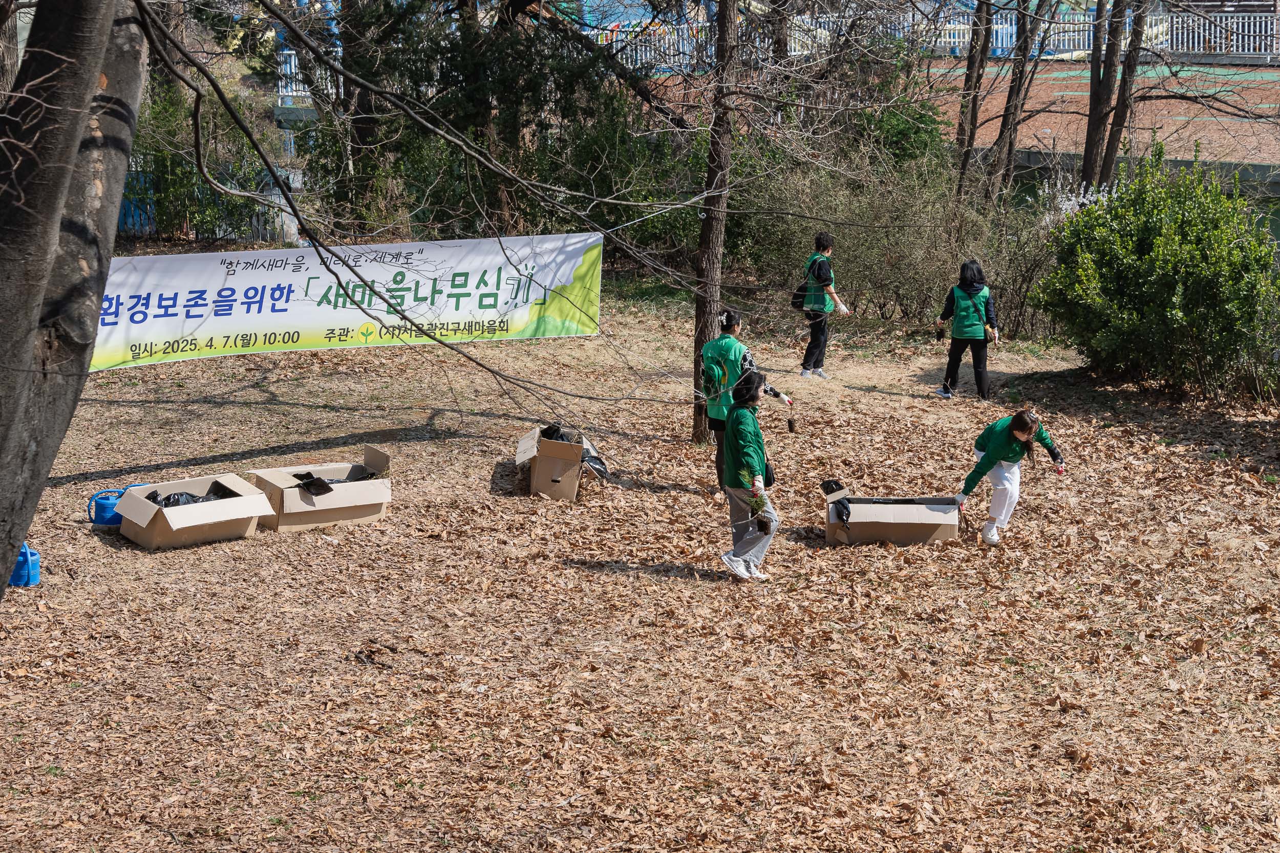 20250407-환경보존을 위한 새마을 나무심기 20250407-45168_L_174019.jpg