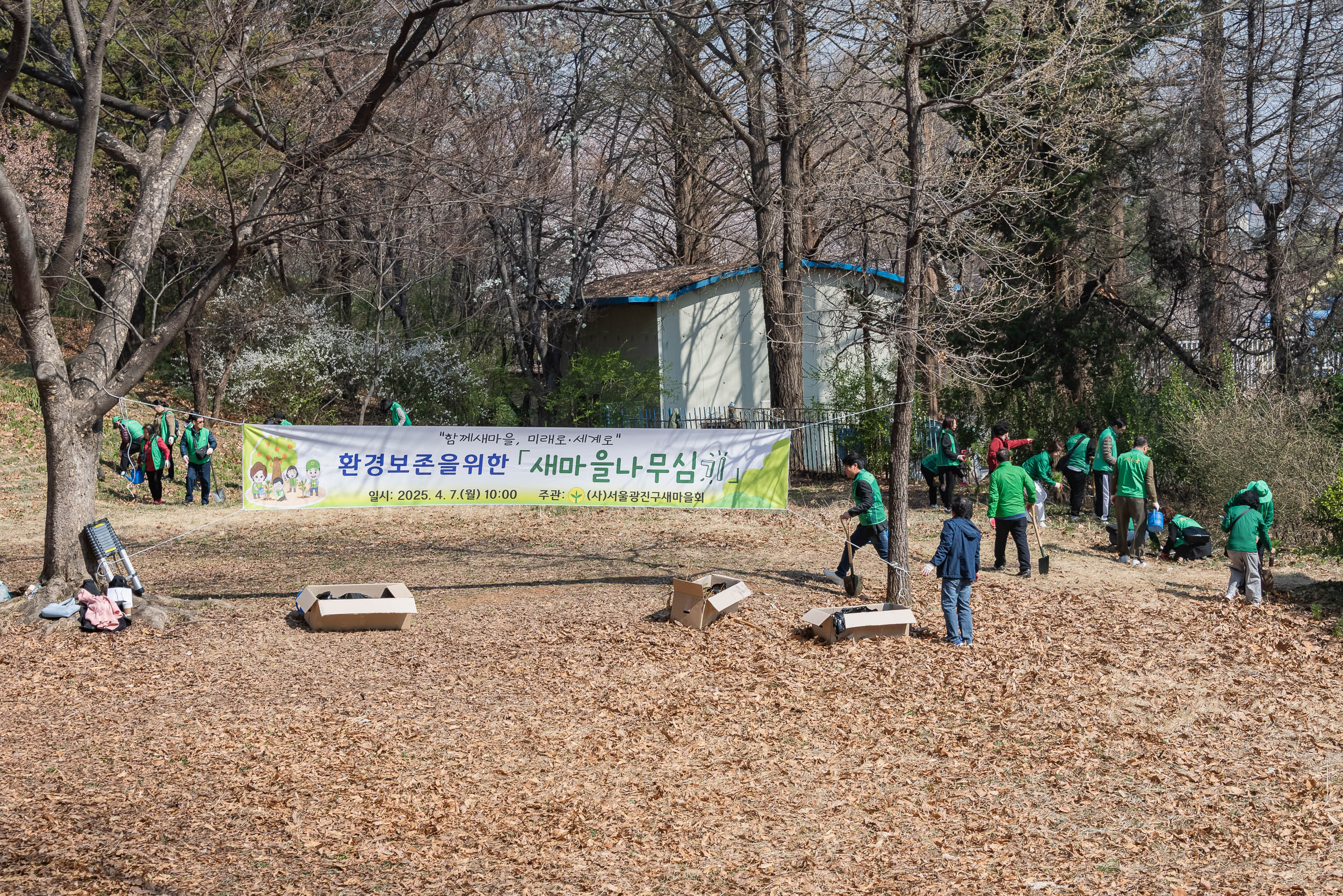 20250407-환경보존을 위한 새마을 나무심기 20250407-45332_L_174023.jpg
