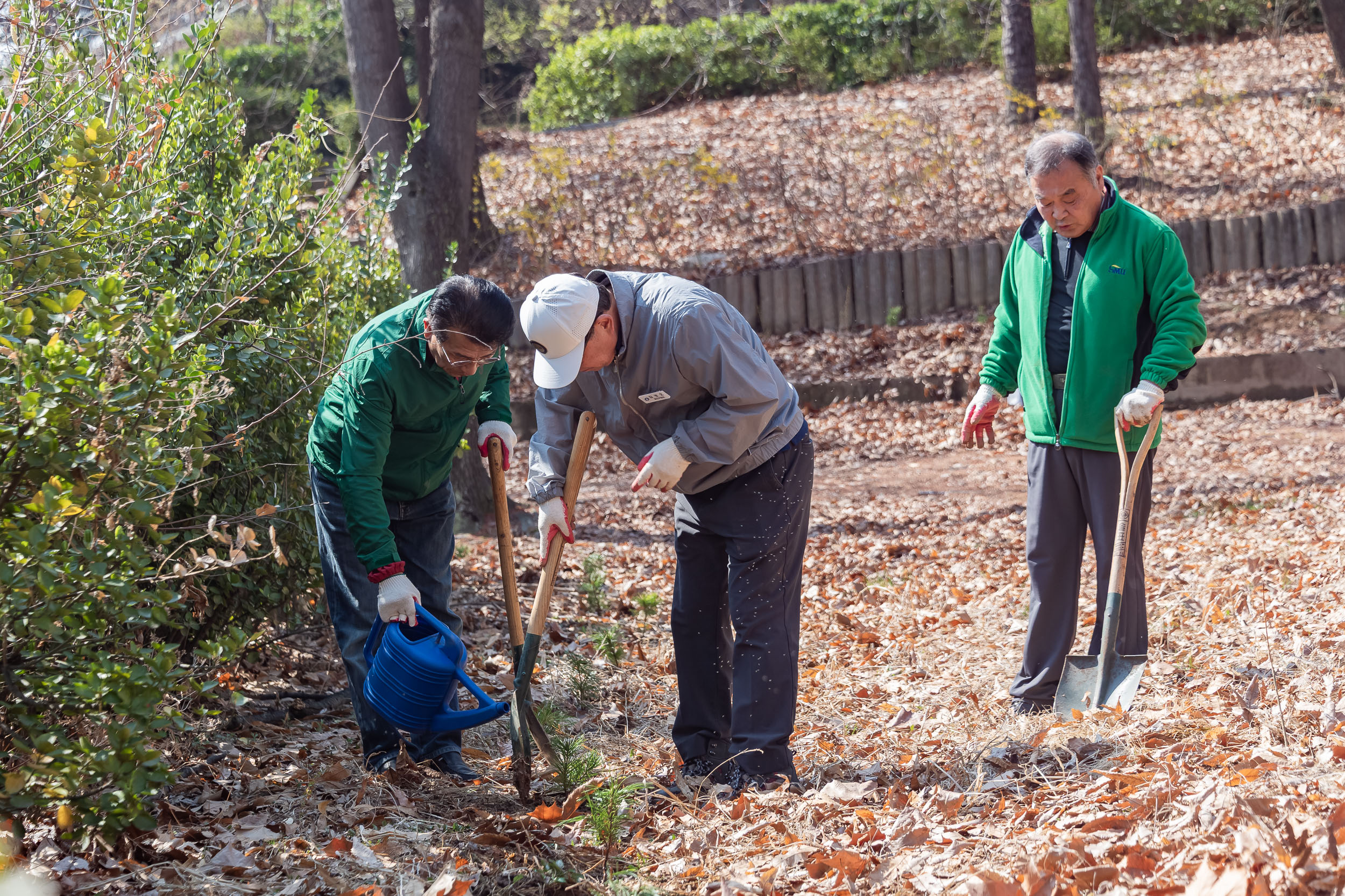 20250407-환경보존을 위한 새마을 나무심기 20250407-45414_L_174025.jpg