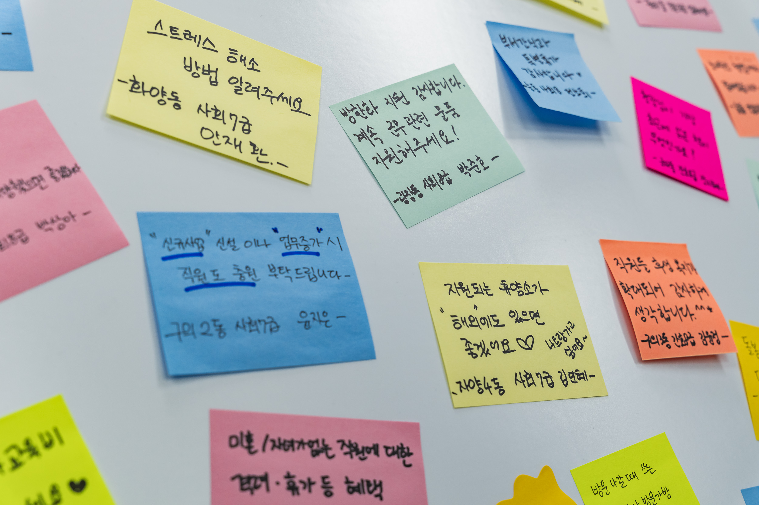 20250318-광진구 돌봄매니저 소통 간담회 20250318-27186_L_142533.jpg