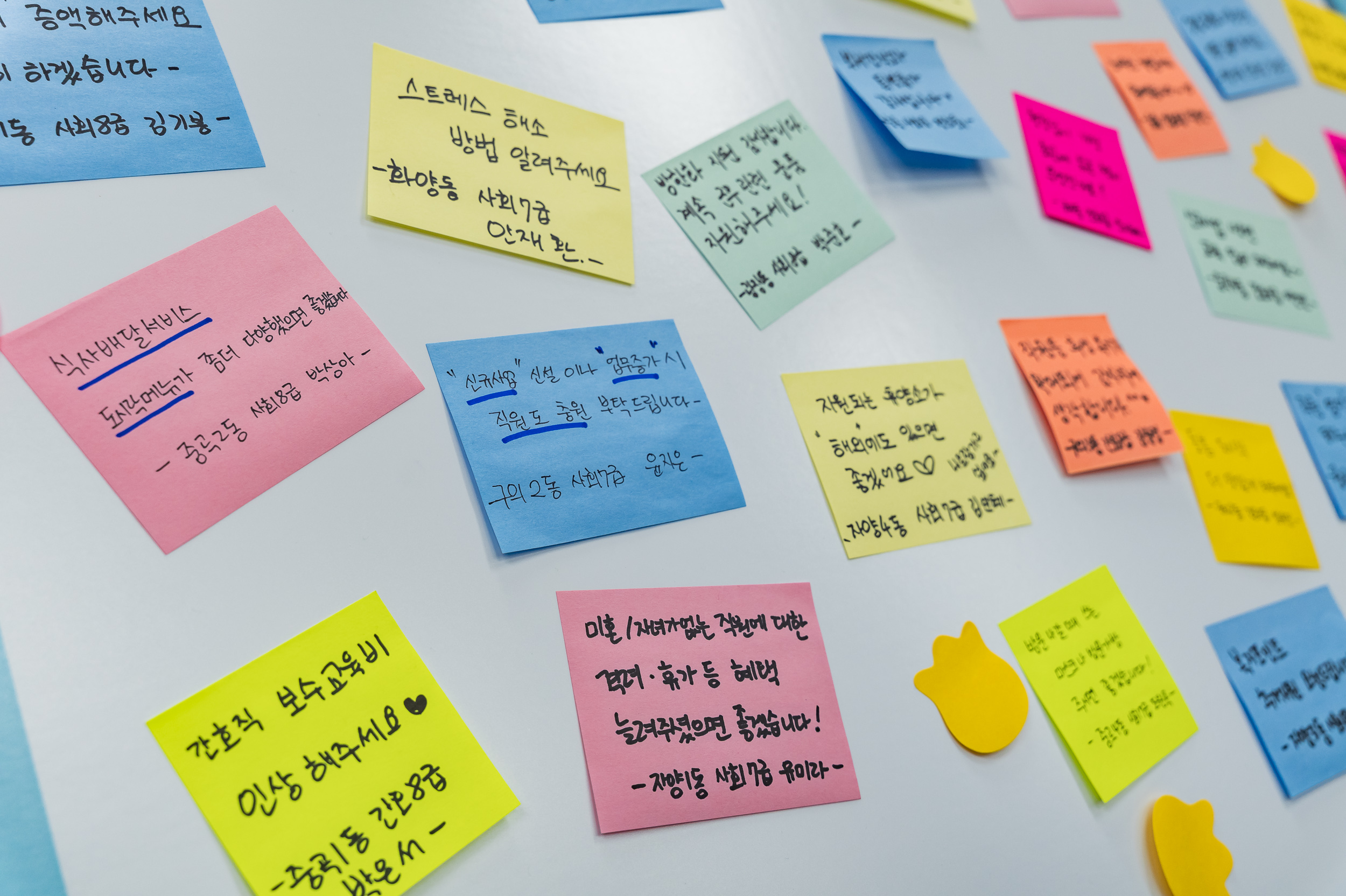 20250318-광진구 돌봄매니저 소통 간담회 20250318-27191_L_142534.jpg