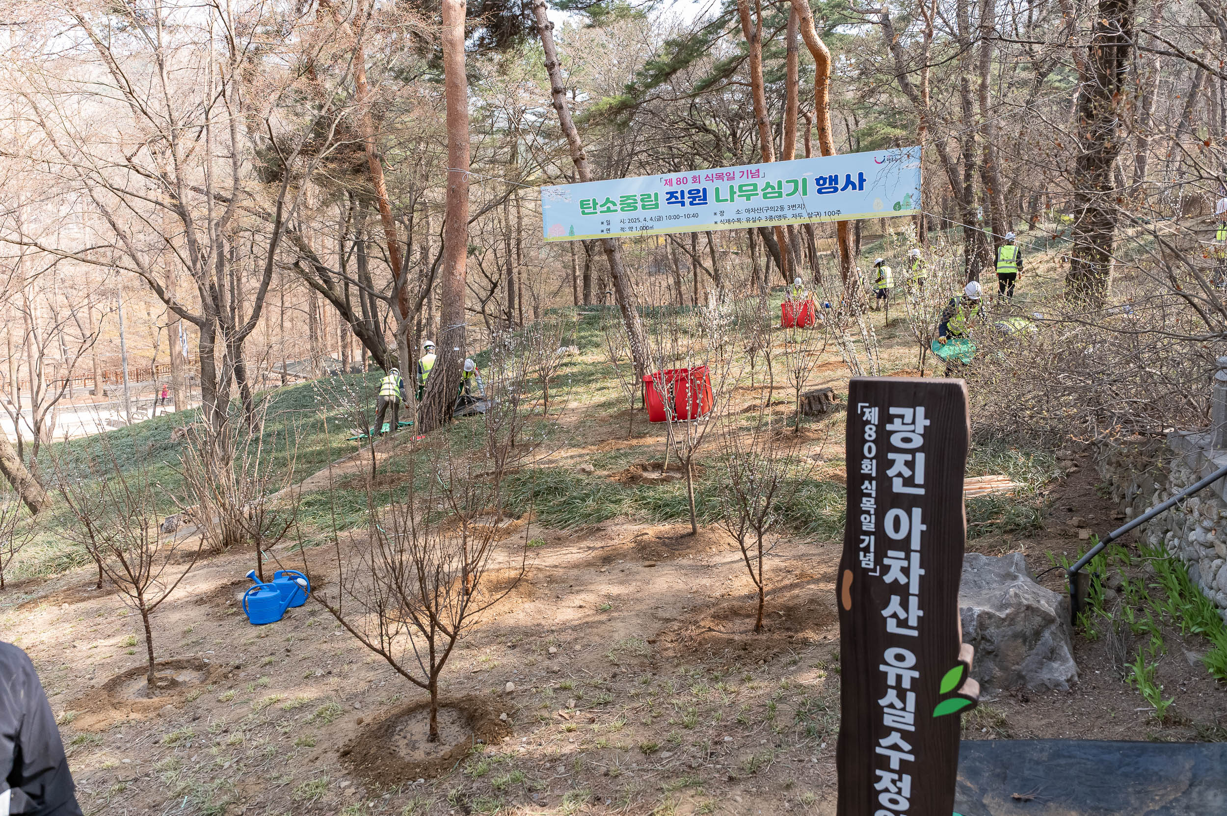 20250404-탄소중립 직원 나무심기 행사(제80회 식목일 기념) 20250404-44466_L_173036.jpg