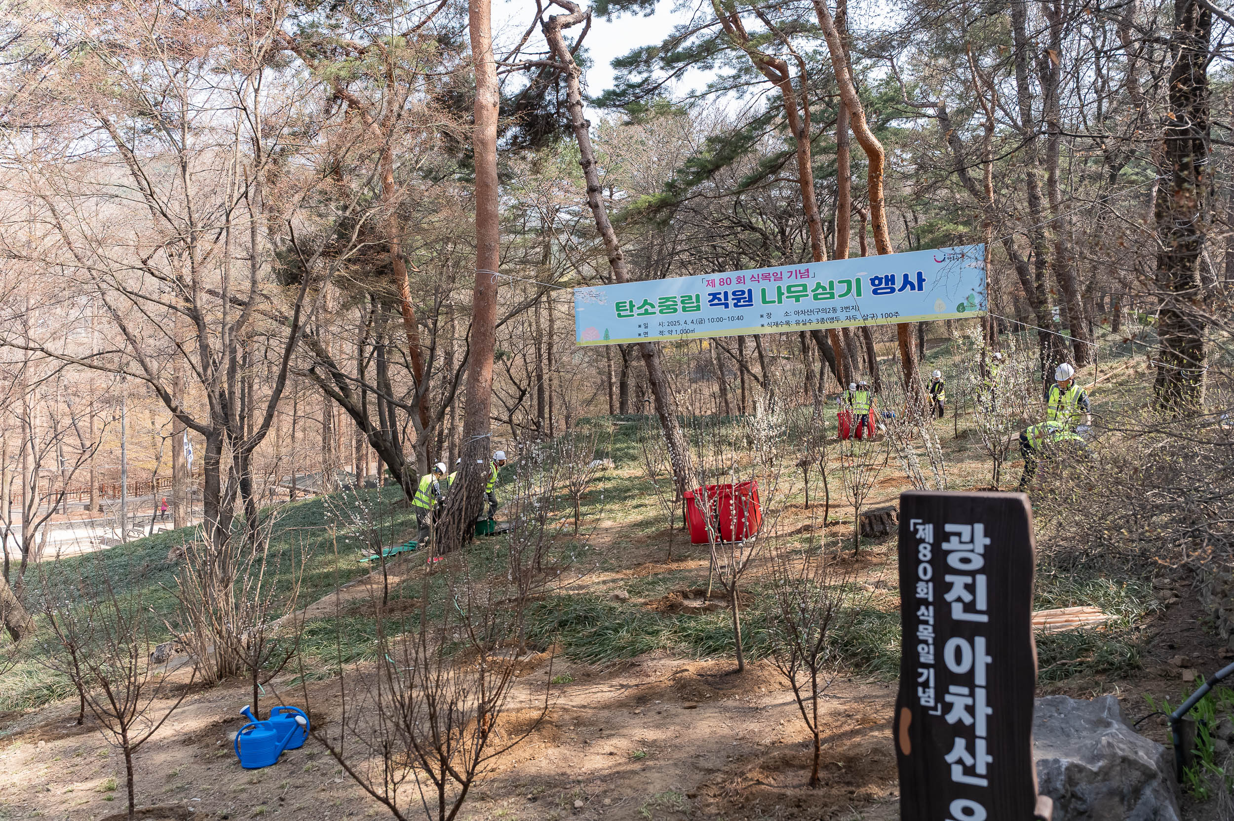 20250404-탄소중립 직원 나무심기 행사(제80회 식목일 기념) 20250404-44469_L_173036.jpg