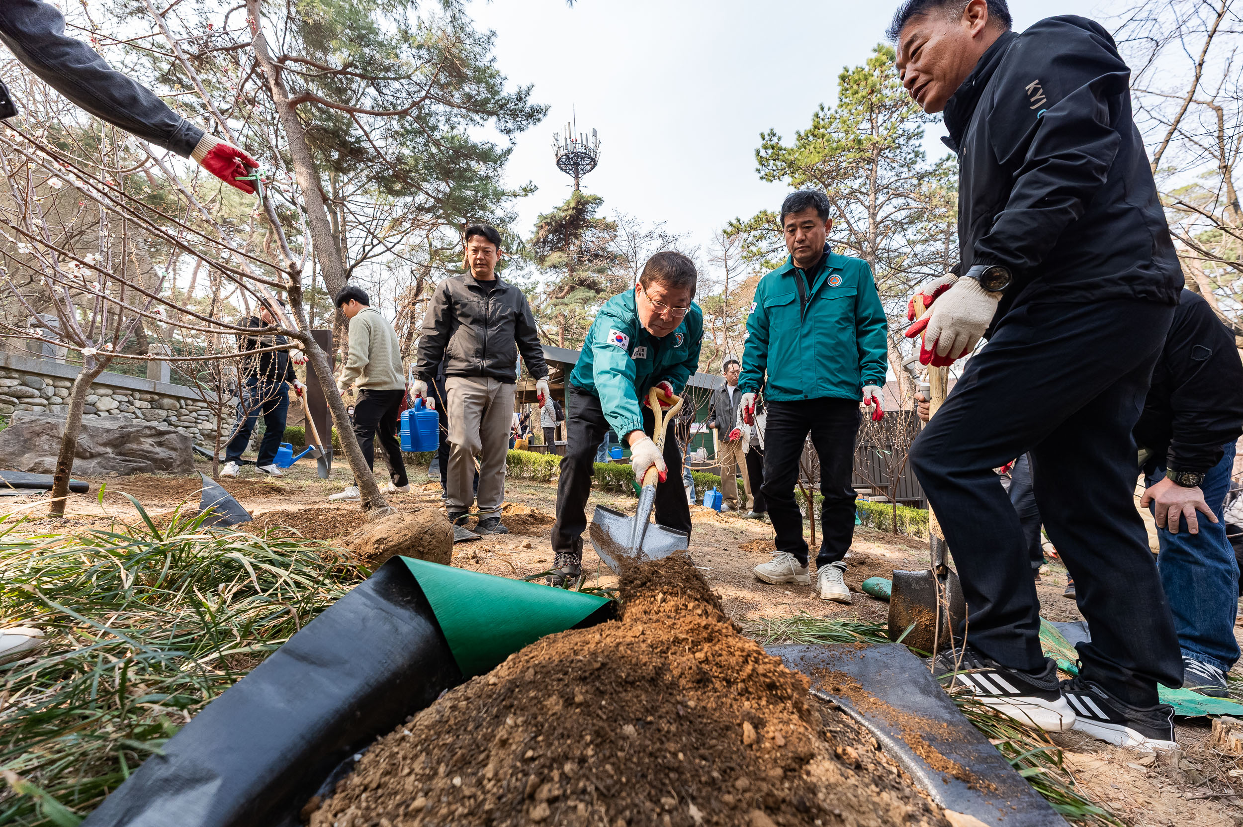 20250404-탄소중립 직원 나무심기 행사(제80회 식목일 기념) 20250404-44024_L_173027.jpg