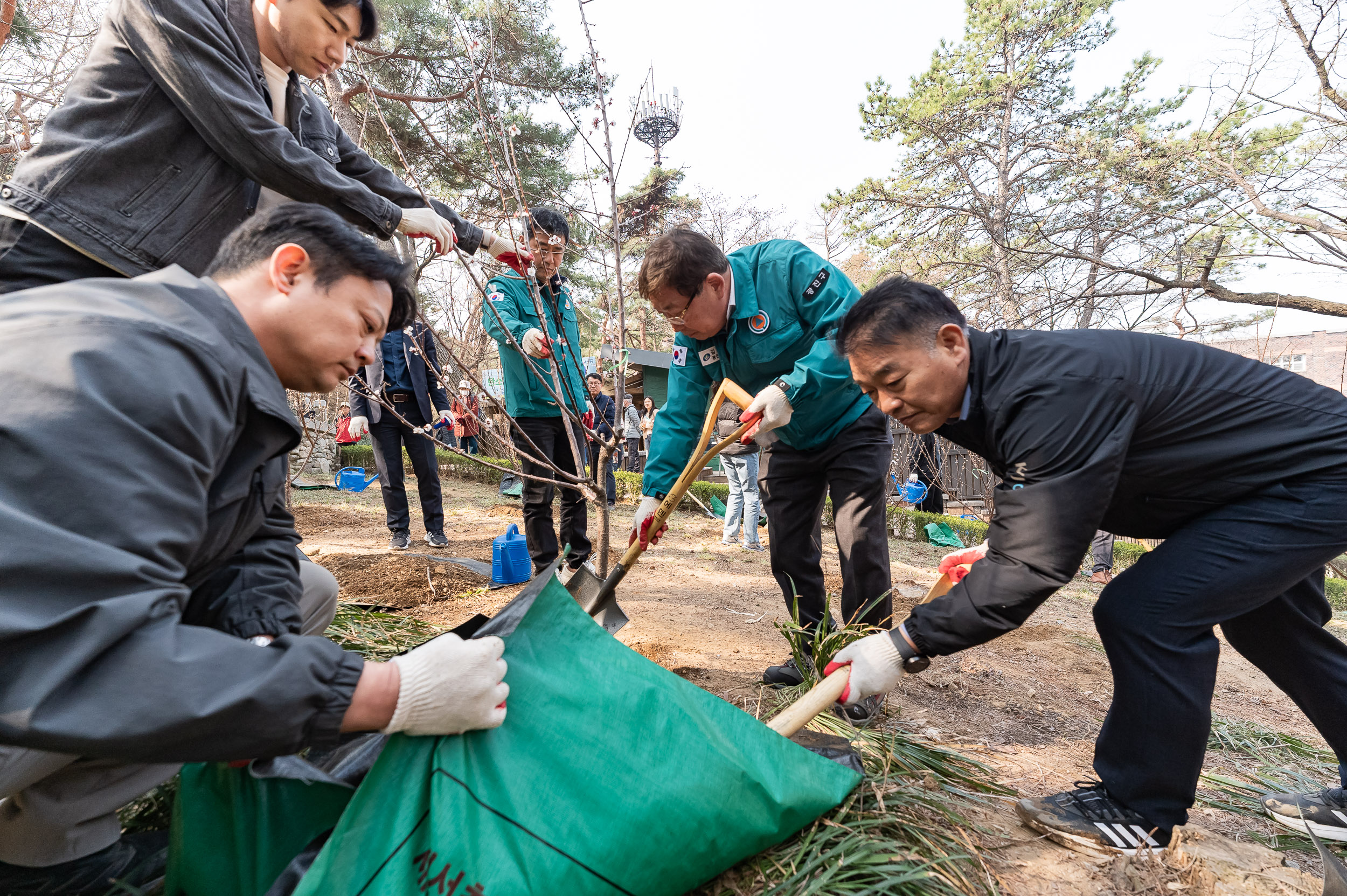 20250404-탄소중립 직원 나무심기 행사(제80회 식목일 기념) 20250404-44091_L_173028.jpg