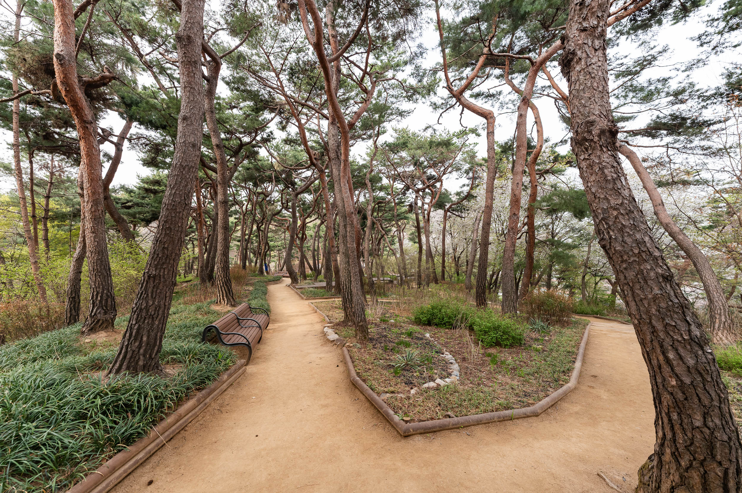 20250412-산불 예방 캠페인 20250412-49406_L_101411.jpg